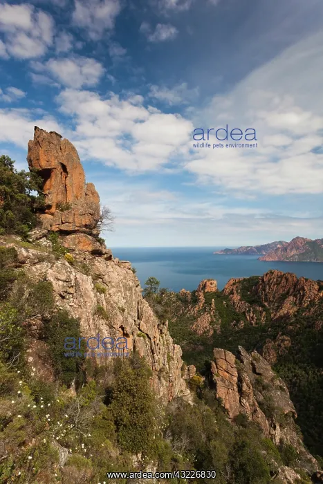 : France, Corsica, Calanche, Porto, red rock : France, Corsica, Calanche, Porto, red rock