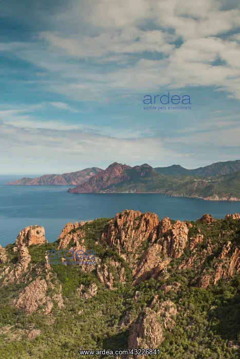 : France, Corsica, Calanche, Porto, red rock : France, Corsica, Calanche, Porto, red rock