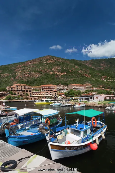 : France, Corsica, Calanche, Porto, town harbor : France, Corsica, Calanche, Porto, town harbor