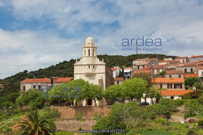 : France, Corsica, Cargese, Eglise Catholique : France, Corsica, Cargese, Eglise Catholique