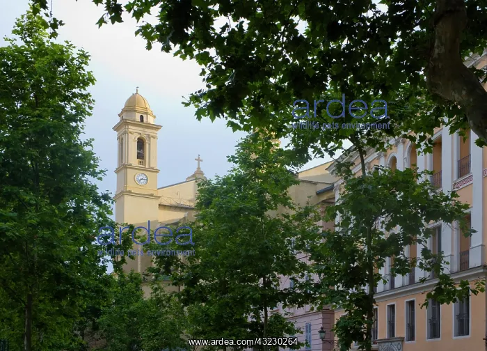 : France, Corsica. Church and apartment buildings : France, Corsica. Church and apartment buildings