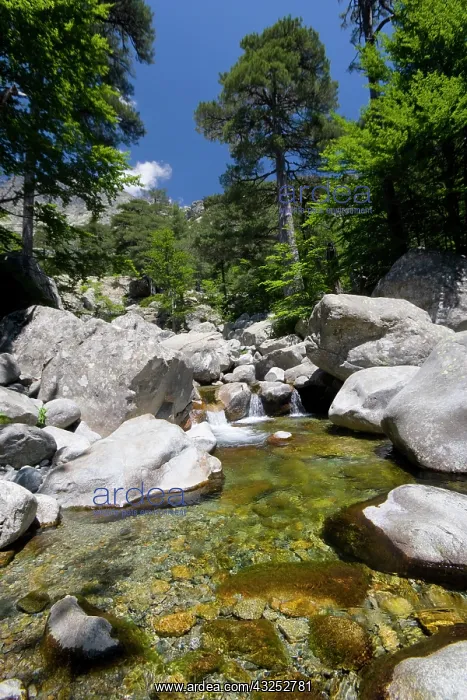  : France, Corsica. Clear water and granite