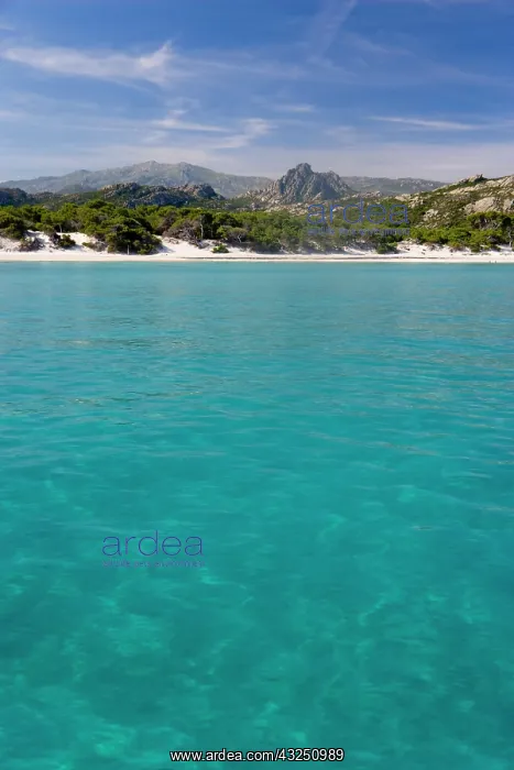 : France, Corsica. Clear water and white sand : France, Corsica. Clear water and white sand