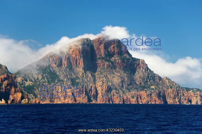 : France, Corsica. Clouds blow over Cape Rossu : France, Corsica. Clouds blow over Cape Rossu