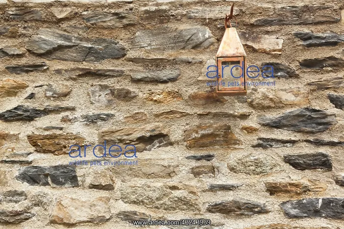 : France, Corsica, Corte, Citadel, lantern : France, Corsica, Corte, Citadel, lantern