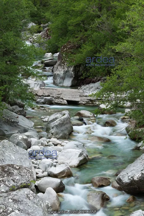 : France, Corsica, Corte, Gorges de la Restonica : France, Corsica, Corte, Gorges de la Restonica