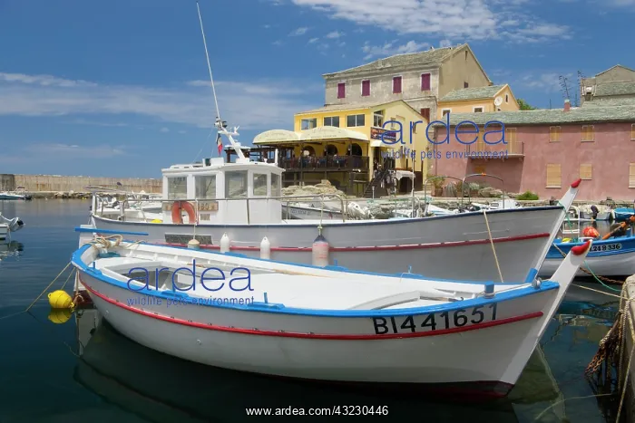 : France, Corsica. Fishing boats at village : France, Corsica. Fishing boats at village