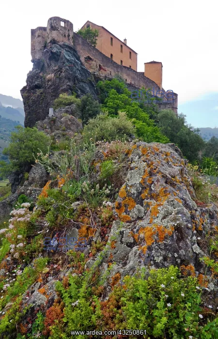 : France, Corsica. Fortress on rock in Corte : France, Corsica. Fortress on rock in Corte