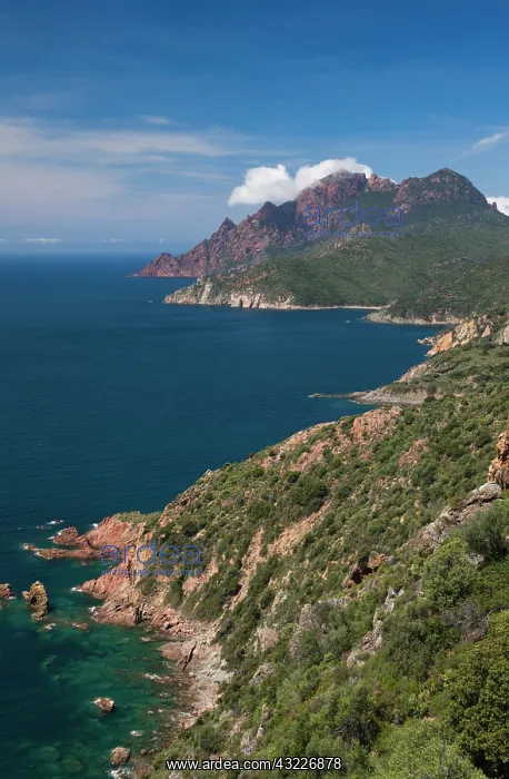: France, Corsica, Golfe de Girolata gulf : France, Corsica, Golfe de Girolata gulf