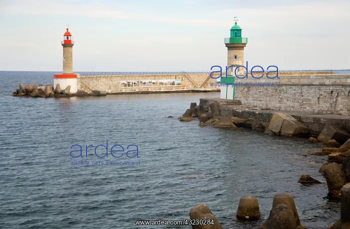 : France, Corsica. Harbor entrance at Old : France, Corsica. Harbor entrance at Old