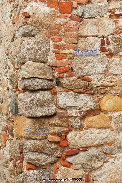 : France, Corsica, La Balagne, Calvi, Citadel : France, Corsica, La Balagne, Calvi, Citadel