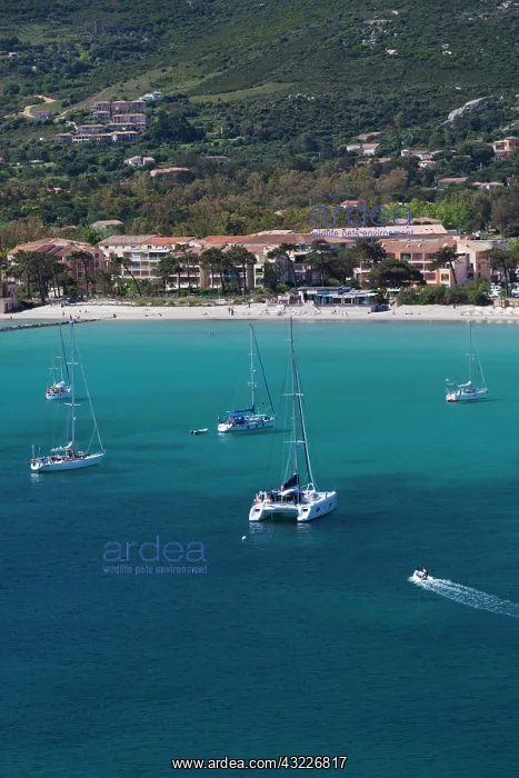 : France, Corsica, La Balagne, Calvi, Le Golf : France, Corsica, La Balagne, Calvi, Le Golf