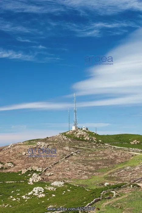 : France, Corsica, La Balagne, Col de Salvi : France, Corsica, La Balagne, Col de Salvi