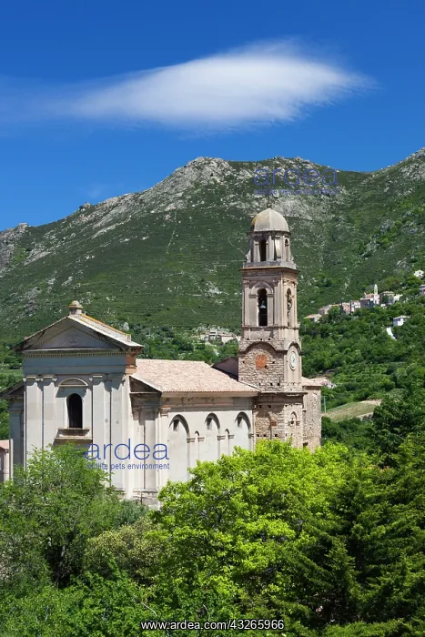 : France, Corsica, La Balagne, Feliceto, town : France, Corsica, La Balagne, Feliceto, town