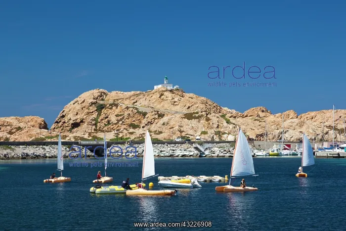 : France, Corsica, La Balagne, Ile Rousse : France, Corsica, La Balagne, Ile Rousse