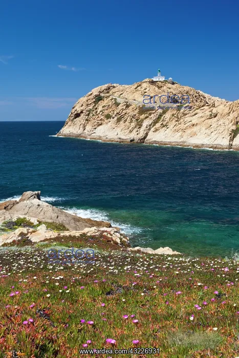 : France, Corsica, La Balagne, Ile Rousse : France, Corsica, La Balagne, Ile Rousse