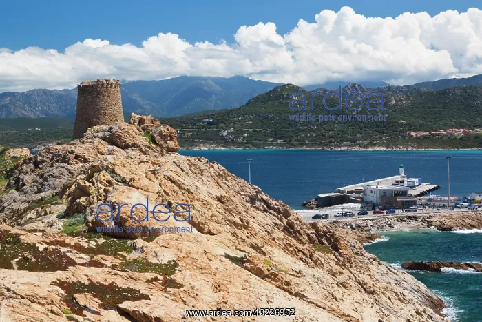 : France, Corsica, La Balagne, Ile Rousse : France, Corsica, La Balagne, Ile Rousse