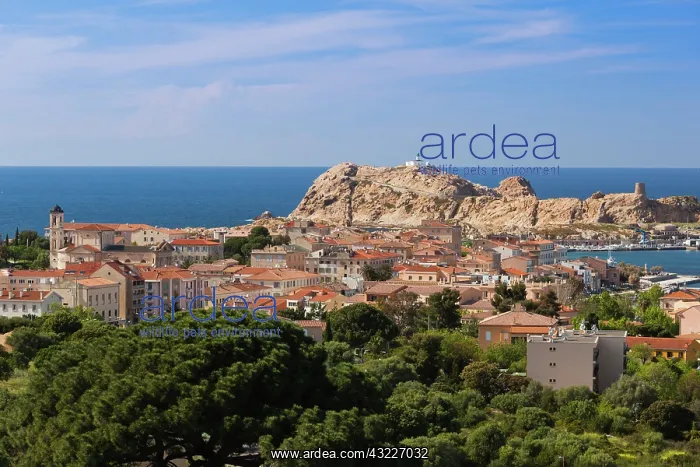 : France, Corsica, La Balagne, Ile Rousse : France, Corsica, La Balagne, Ile Rousse