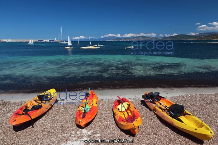 : France, Corsica, La Balagne, Ile Rousse : France, Corsica, La Balagne, Ile Rousse