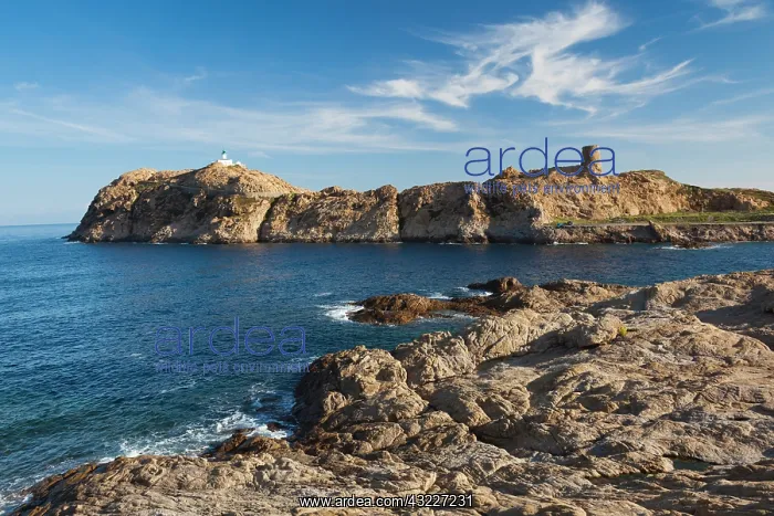 : France, Corsica, La Balagne, Ile Rousse : France, Corsica, La Balagne, Ile Rousse