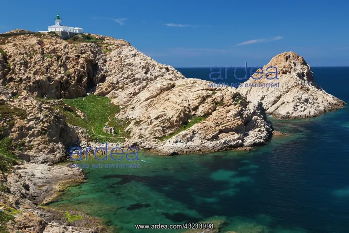 : France, Corsica, La Balagne, Ile Rousse : France, Corsica, La Balagne, Ile Rousse