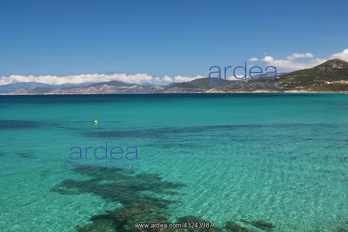 : France, Corsica, La Balagne, Ile Rousse : France, Corsica, La Balagne, Ile Rousse