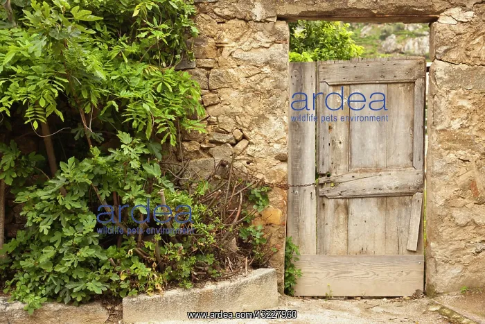 : France, Corsica, La Balagne, Pigna, artisanal : France, Corsica, La Balagne, Pigna, artisanal