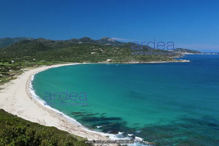 : France, Corsica, La Balagne, Plage Lozari : France, Corsica, La Balagne, Plage Lozari