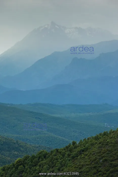 : France, Corsica, Le Bozio, Santa Lucia di : France, Corsica, Le Bozio, Santa Lucia di
