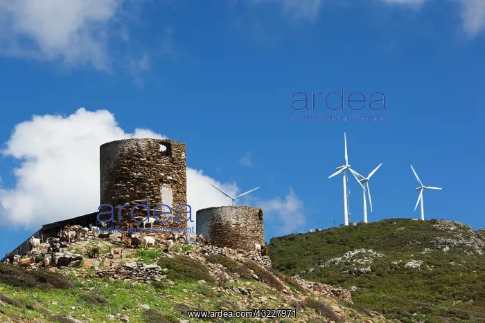 : France, Corsica, Le Cap Corse, Belvedere : France, Corsica, Le Cap Corse, Belvedere
