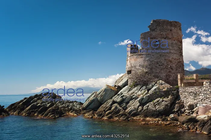 : France, Corsica, Le Cap Corse, Erbalunga : France, Corsica, Le Cap Corse, Erbalunga