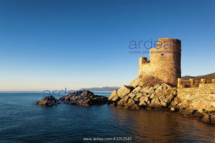 : France, Corsica, Le Cap Corse, Erbalunga : France, Corsica, Le Cap Corse, Erbalunga