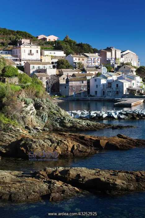 : France, Corsica, Le Cap Corse, Lavasina : France, Corsica, Le Cap Corse, Lavasina