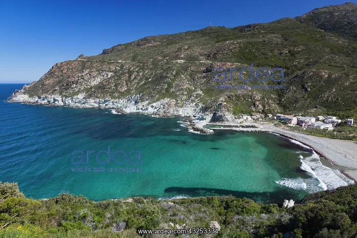 : France, Corsica, Le Cap Corse, Marine de : France, Corsica, Le Cap Corse, Marine de