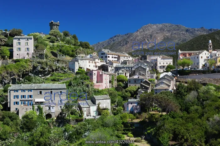 : France, Corsica, Le Cap Corse, Nonza, elevated : France, Corsica, Le Cap Corse, Nonza, elevated