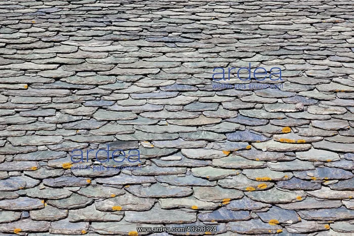 : France, Corsica, Le Cap Corse, Nonza, stone : France, Corsica, Le Cap Corse, Nonza, stone