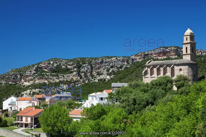 : France, Corsica, Le Cap Corse, Patrimonio : France, Corsica, Le Cap Corse, Patrimonio