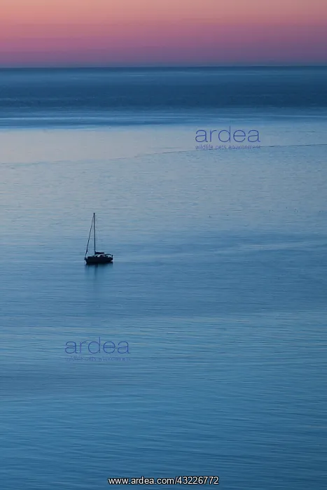  : France, Corsica, Le Nebbio, St-Florent