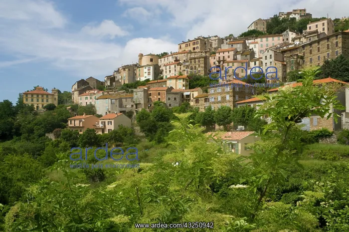 : France, Corsica. Mountain village of Pieve : France, Corsica. Mountain village of Pieve
