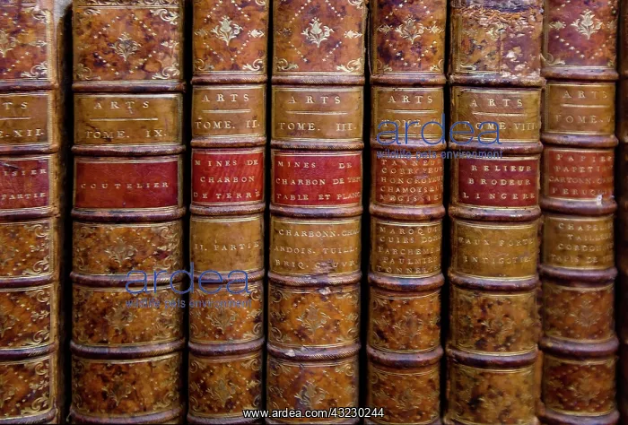 : France, Corsica. Old books in Ajaccio municipal : France, Corsica. Old books in Ajaccio municipal