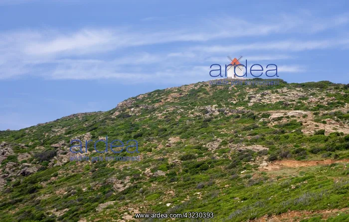 : France, Corsica. Old windmill on ridge on : France, Corsica. Old windmill on ridge on