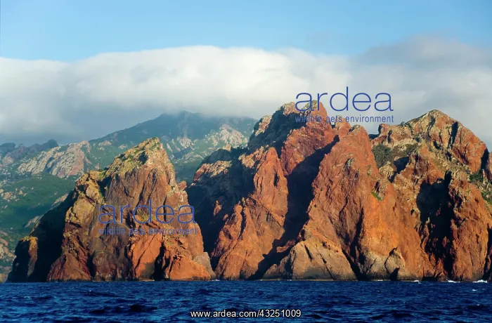  : France, Corsica. Pinnacles of red granite