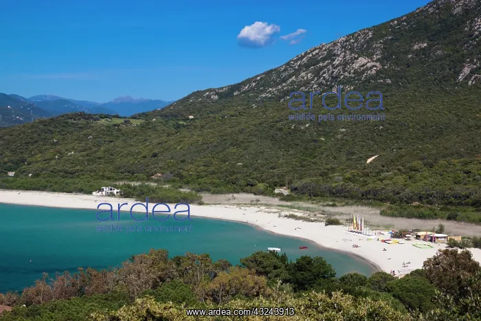 : France, Corsica, Portigliolo, beach view : France, Corsica, Portigliolo, beach view
