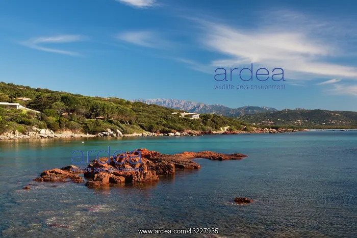 : France, Corsica, Porto Vecchio, Cala Rossa : France, Corsica, Porto Vecchio, Cala Rossa