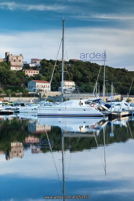 : France, Corsica, Porto Vecchio, marina and : France, Corsica, Porto Vecchio, marina and