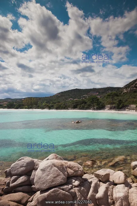 : France, Corsica, Porto Vecchio, Plage de : France, Corsica, Porto Vecchio, Plage de