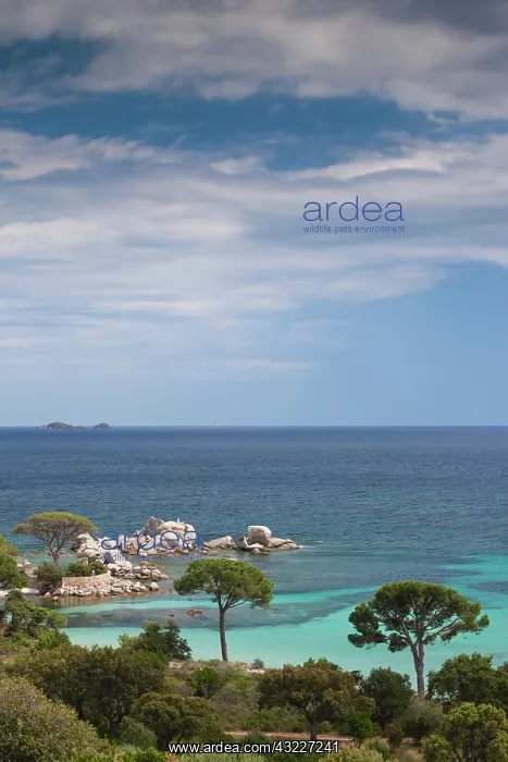 : France, Corsica, Porto Vecchio, Plage de : France, Corsica, Porto Vecchio, Plage de