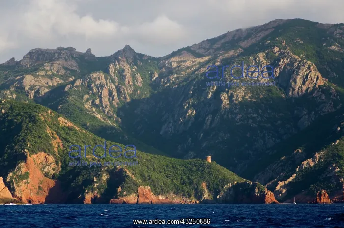 : France, Corsica. Rugged coast near Galeria : France, Corsica. Rugged coast near Galeria