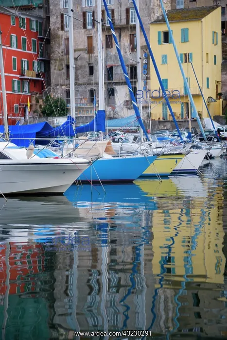 : France, Corsica. Sailboats at the marina : France, Corsica. Sailboats at the marina