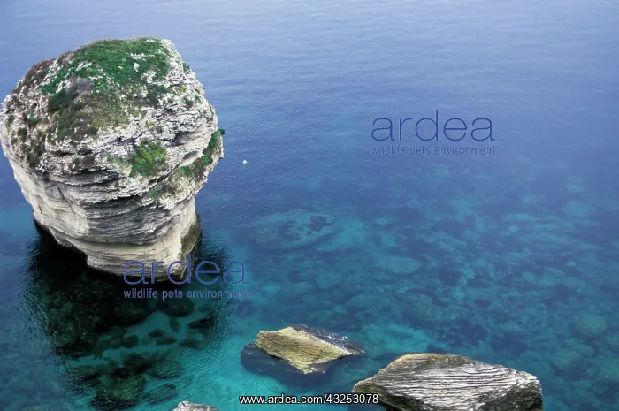 : France, Corsica. Sea stacks near Bonifacio : France, Corsica. Sea stacks near Bonifacio